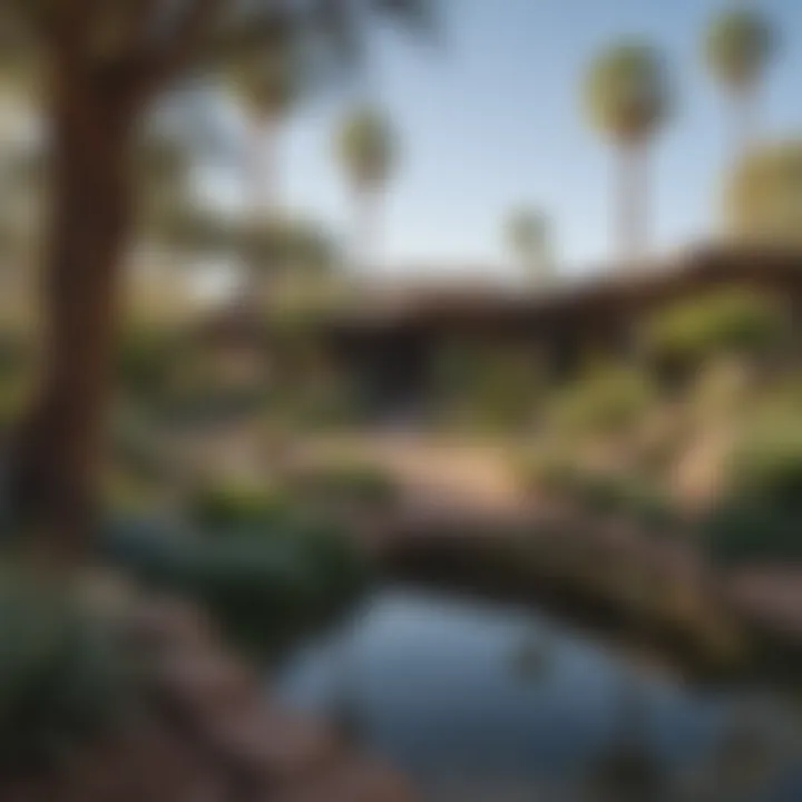 Lush landscapes of McCormick Ranch