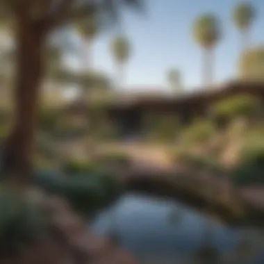 Lush Landscapes of McCormick Ranch Lush landscapes of McCormick Ranch