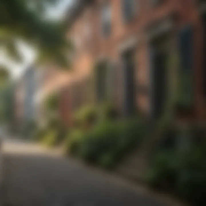 Picturesque Georgetown street lined with townhouses and greenery