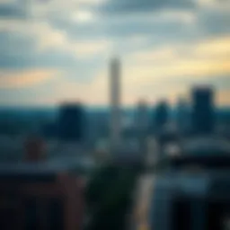 Stunning skyline view of Washington DC