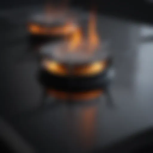 Pristine black glass stove top after cleaning