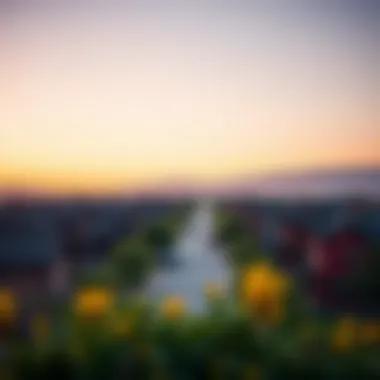Choosing the Right Location A scenic neighborhood view highlighting local amenities