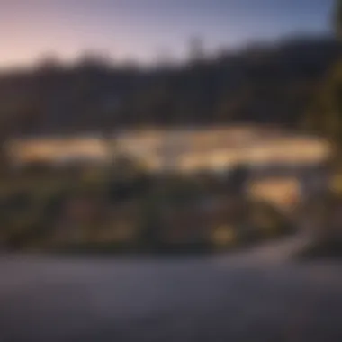 Cultural Vibrancy of Hollywood Hills Cultural gathering in the heart of Hollywood Hills