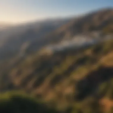 Breathtaking Landscape of Hollywood Hills Panoramic view of the Hollywood Hills landscape