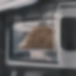 Illustration of a microwave with grease buildup