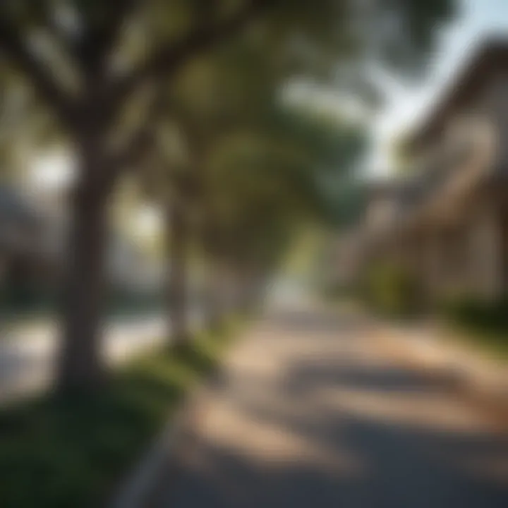 Charming tree-lined street in a residential area