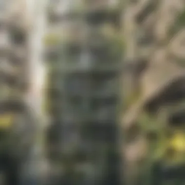 Transforming Balconies with Vertical Gardens Lush vertical garden on a balcony