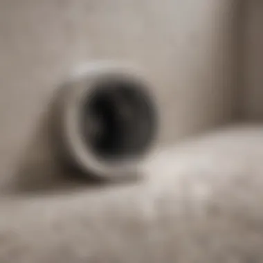 Importance of a Clean Dryer Vent Clean dryer vent showcasing safety