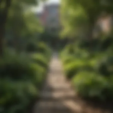 Scenic view of Lincoln Park featuring lush green spaces
