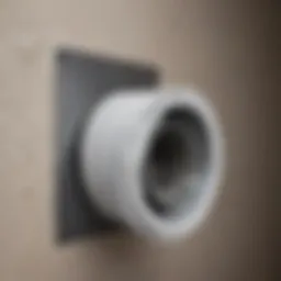 Thoroughly cleaned dryer vent