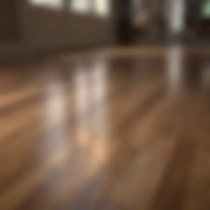 A close-up view of polished hardwood flooring reflecting light