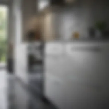 Natural cleaning solutions beside stainless steel appliances