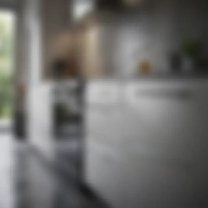Natural cleaning solutions beside stainless steel appliances