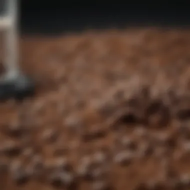Freshly Ground Coffee Beans A close-up view of freshly ground coffee beans for French press brewing.