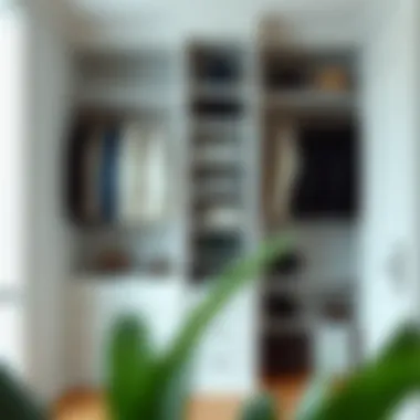 Smart use of vertical space in a closet design