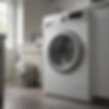 A sparkling clean washing machine interior after vinegar treatment