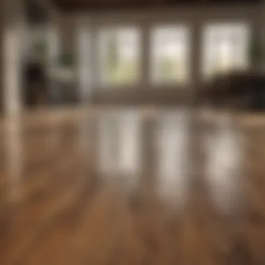 Transformative Results of Natural Cleaning Methods Before and after wood floor cleaning