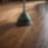 Natural cleaning ingredients for wood floors