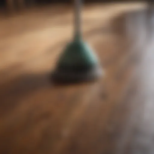 Natural cleaning ingredients for wood floors