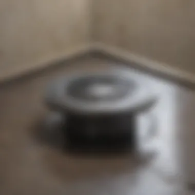 Well-Maintained Shower Drain A clean and well-maintained shower drain