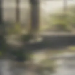 A serene room with natural light and plants