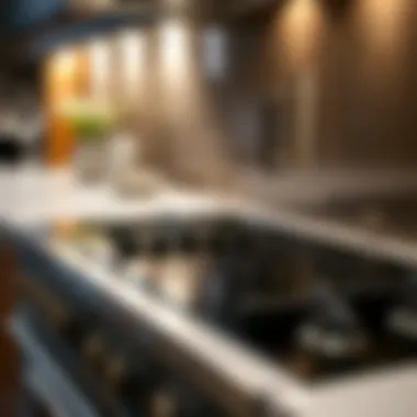 Glass Cooktop vs Traditional Stove Comparison of glass cooktop and traditional stove features