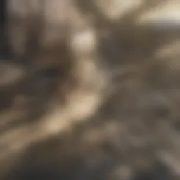 Property management team discussing strategy