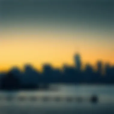 Panoramic view of Roosevelt Island skyline