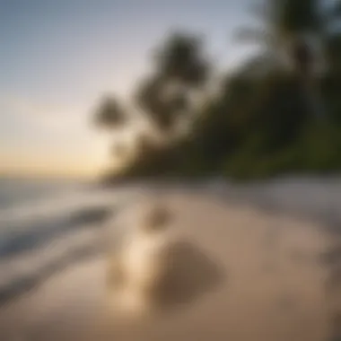 Serene beach landscape in Key Biscayne