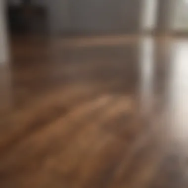 Shining laminate floor reflecting light