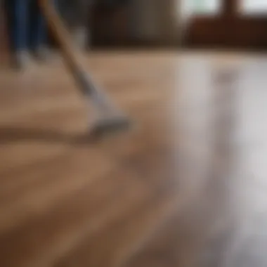 Techniques for applying DIY floor cleaner on laminate