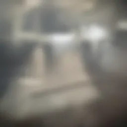 Different types of mops suitable for laminate floors