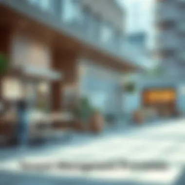 Tenant Management Processes Overview Visual representation of tenant management processes