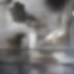 Different types of augers for plumbing